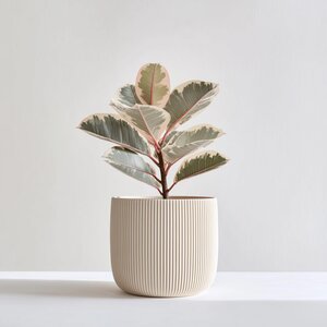 Cache-pot de style japonais imprimé en 3D