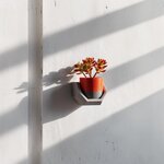 Miniature