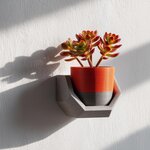 Miniature