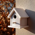 Miniature