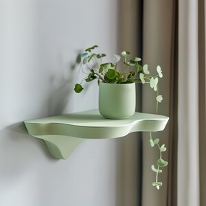 Étagère murale organique fluide imprimée en 3D