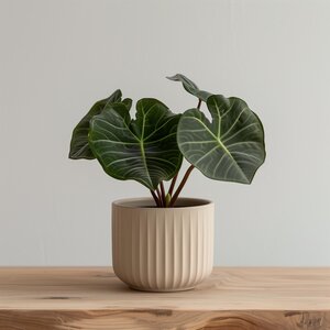 Cache-pot d'intérieur côtelé imprimé en 3D