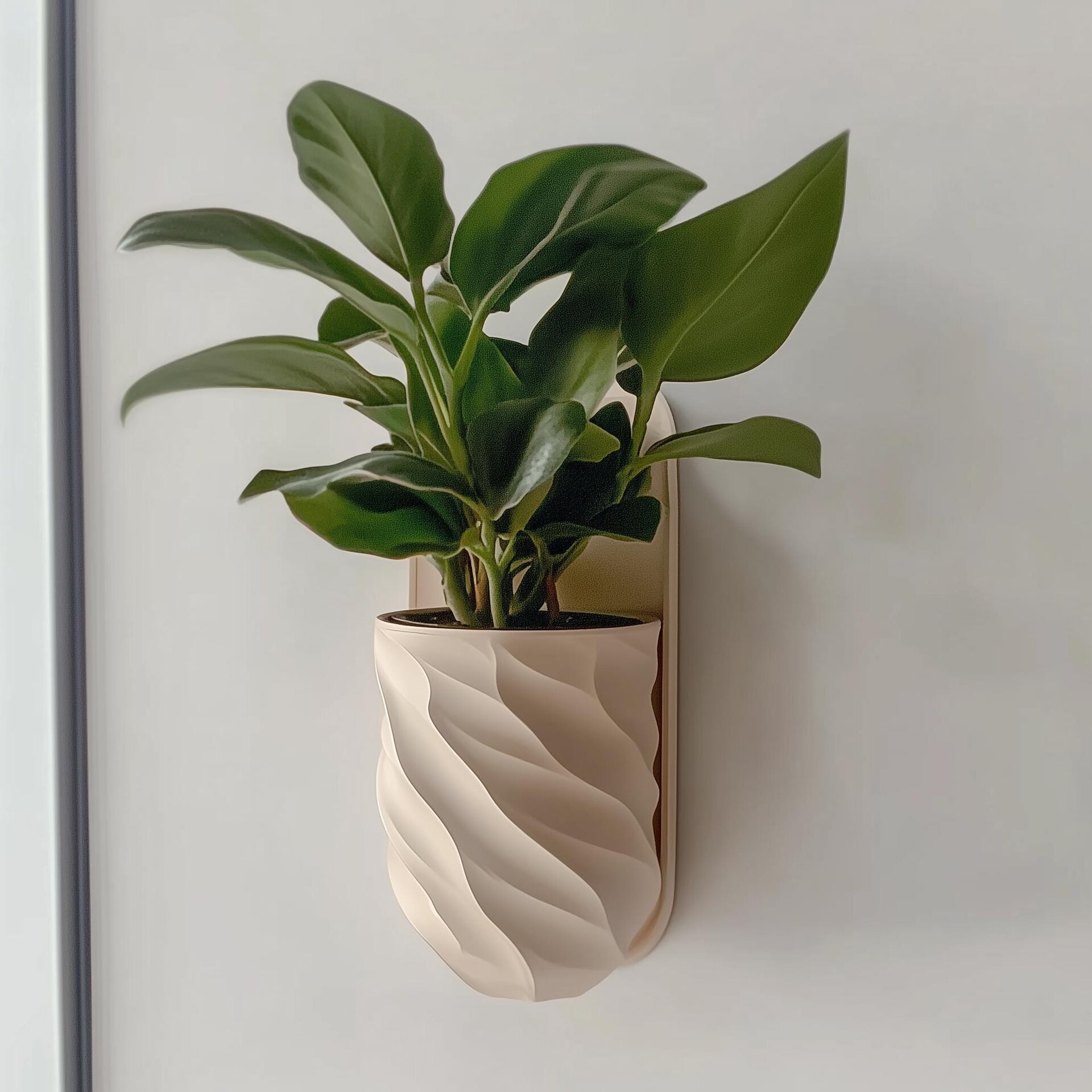 Cache-pot mural imprimé en 3D | Pot de plante d'intérieur torsadé