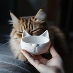 Miniature