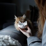 Miniature