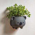 Miniature