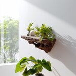 Miniature