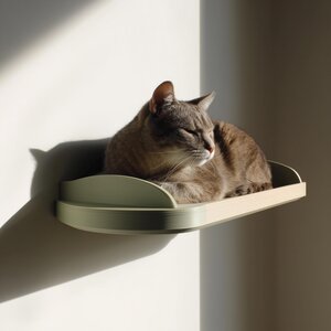 Lit mural minimaliste pour chat imprimé en 3D | Perchoir flottant incurvé