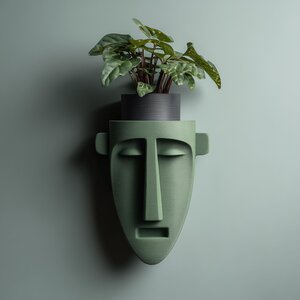 Étagère murale à visage allongé imprimée en 3D | Tablette d'exposition sculpturale