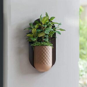 Cache-pot mural moderne | Cache-pot minimaliste à fixer | Cache-pot suspendu d'intérieur