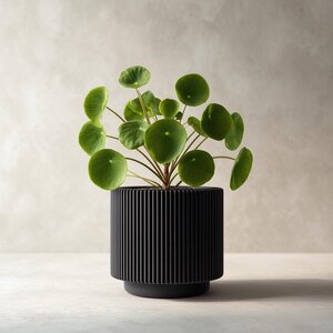 Cache-pot noir côtelé imprimé en 3D