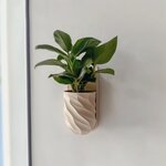 Miniature